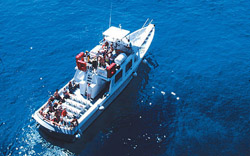 <b>This boat is used for the ride around the island</b>