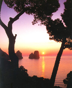 <b>The Faraglioni Rocks of Capri island</b>