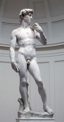 <b>The David in the Accademia Gallery</b>
