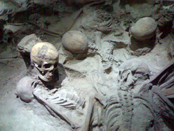 <b>Human skeletons found on the beach</b>