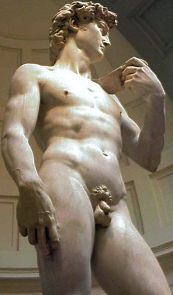 <b>Statue representing David by Michelangelo</b>