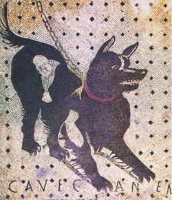 <b>The mosaic floor of Pompeii with the <br>warning beware of the dog</b>