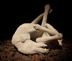 <b>Plaster cast of dog at Pompeii</b>
