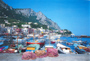 Capri  tour with TREDYTOURS: Marina Grande, the main port of Capri island
