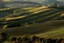  The beautiful landscape of Chianti 